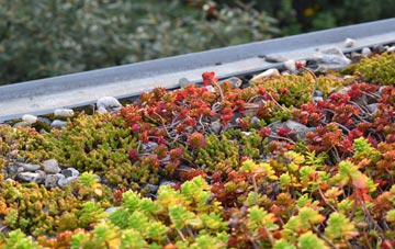 the cost of Apuldram green roof installation